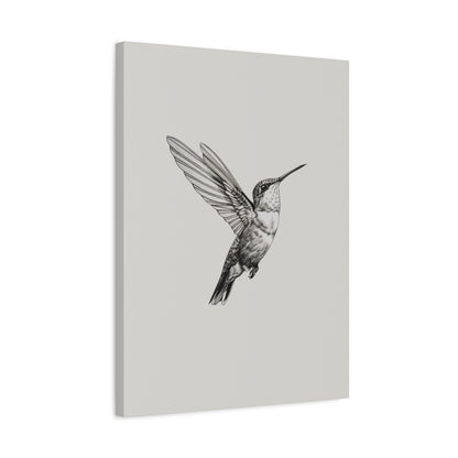 1.25" Matte Canvas - Flying Hummingbird Line Study