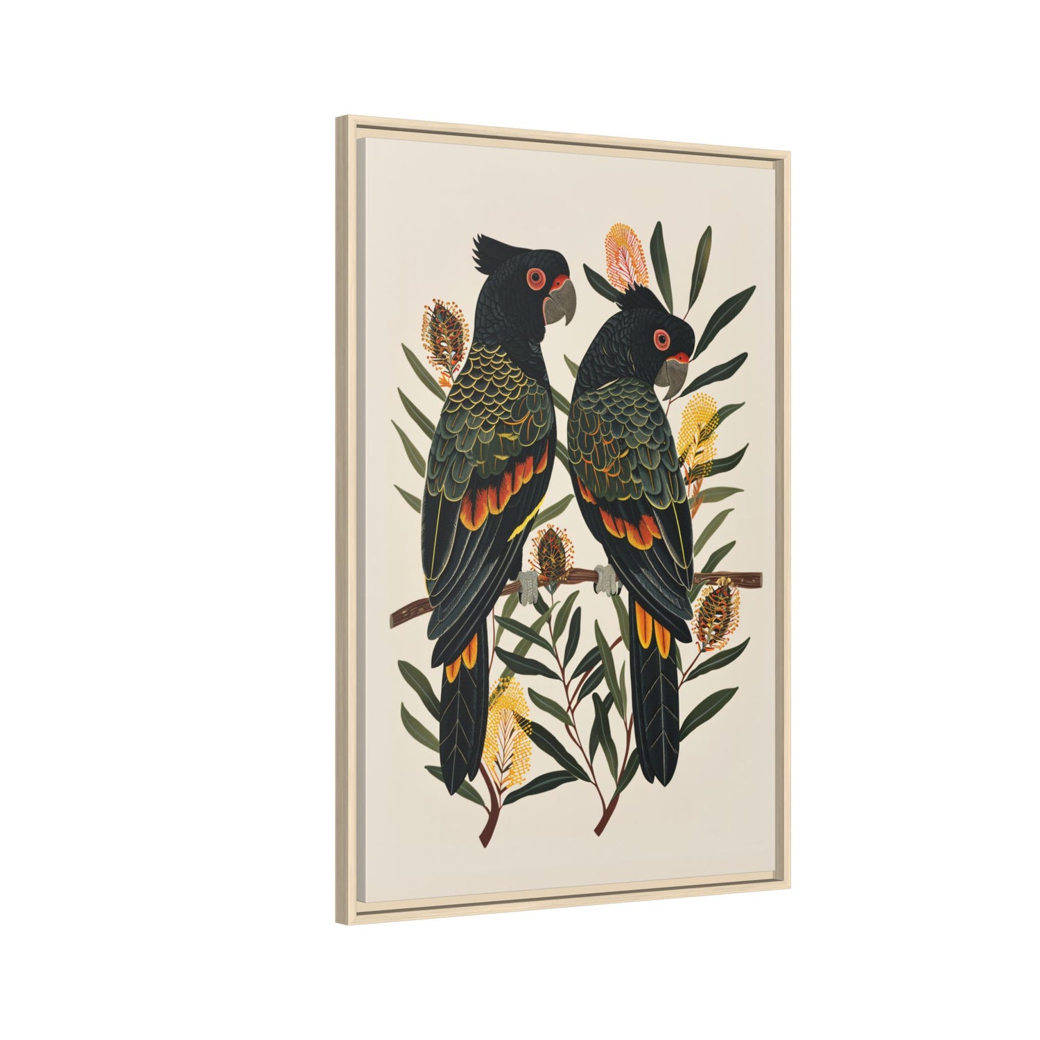 Framed Canvas - Black Cockatoos Among Banksia