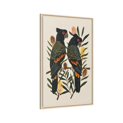 Framed Canvas - Black Cockatoos Among Banksia