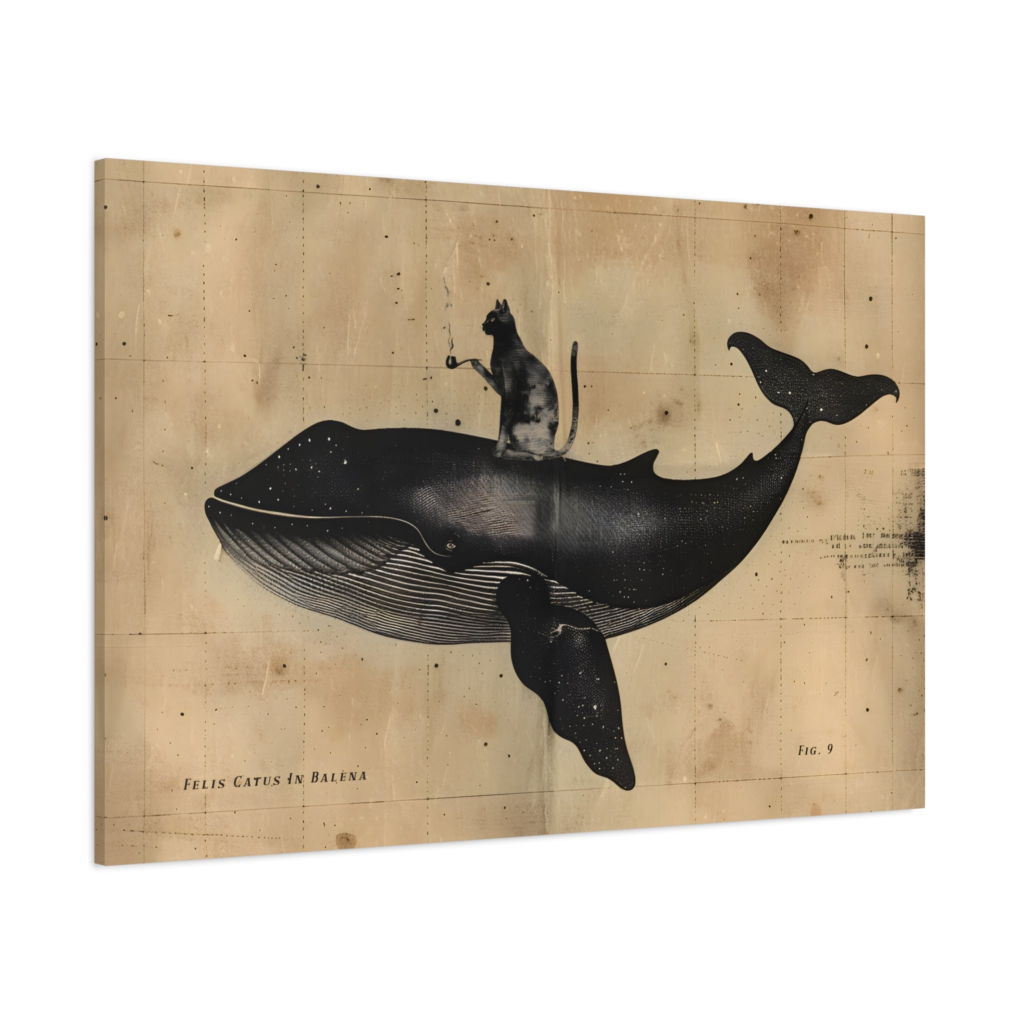 1.25" Matte Canvas - Cat Rides Whale Theory