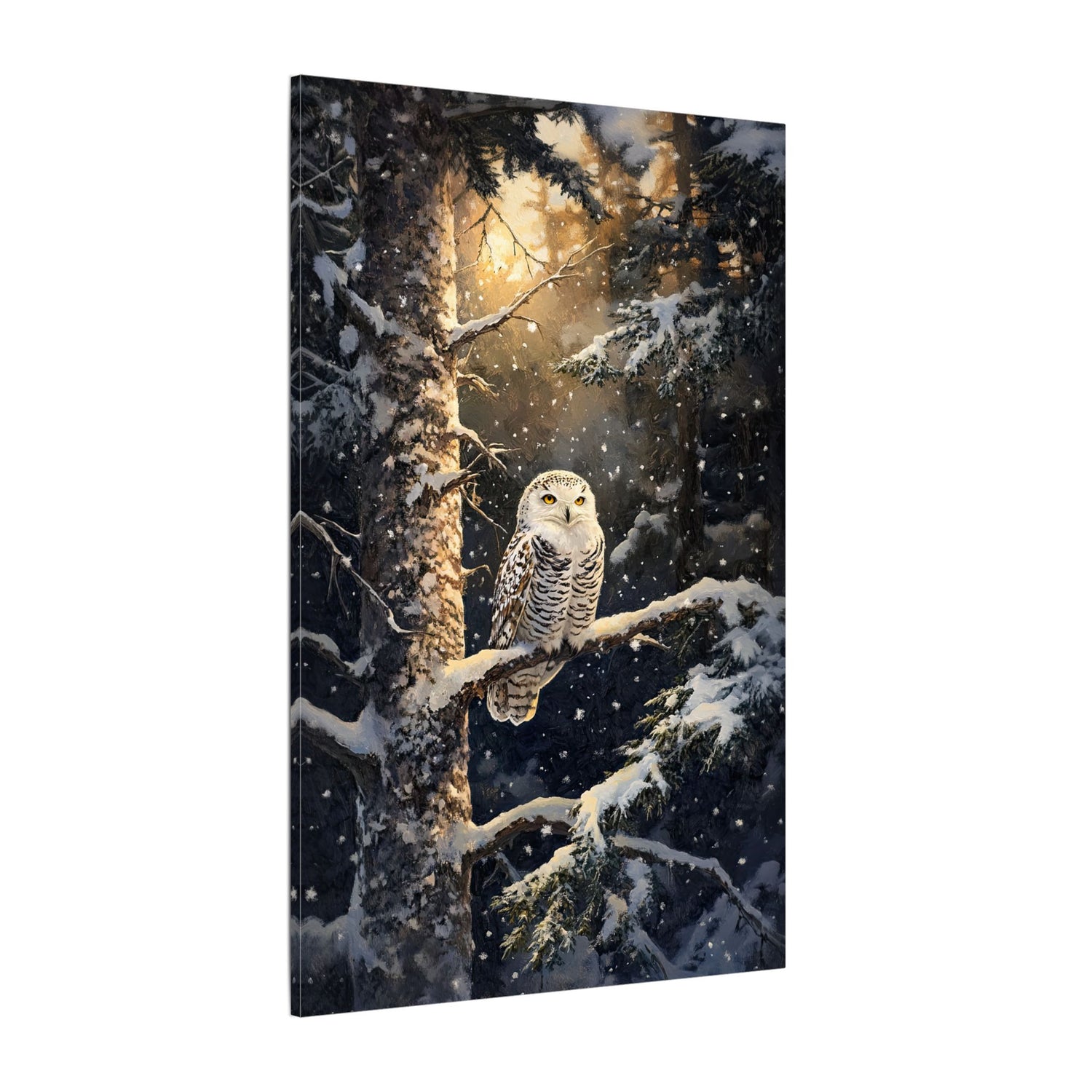 .75" Matte Canvas - Silent Gaze Snow Owl