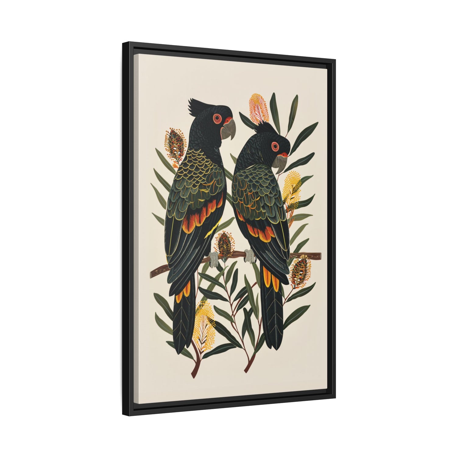 Framed Canvas - Black Cockatoos Among Banksia