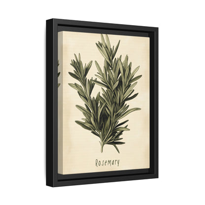 Framed Canvas - Botanical Rosemary Study