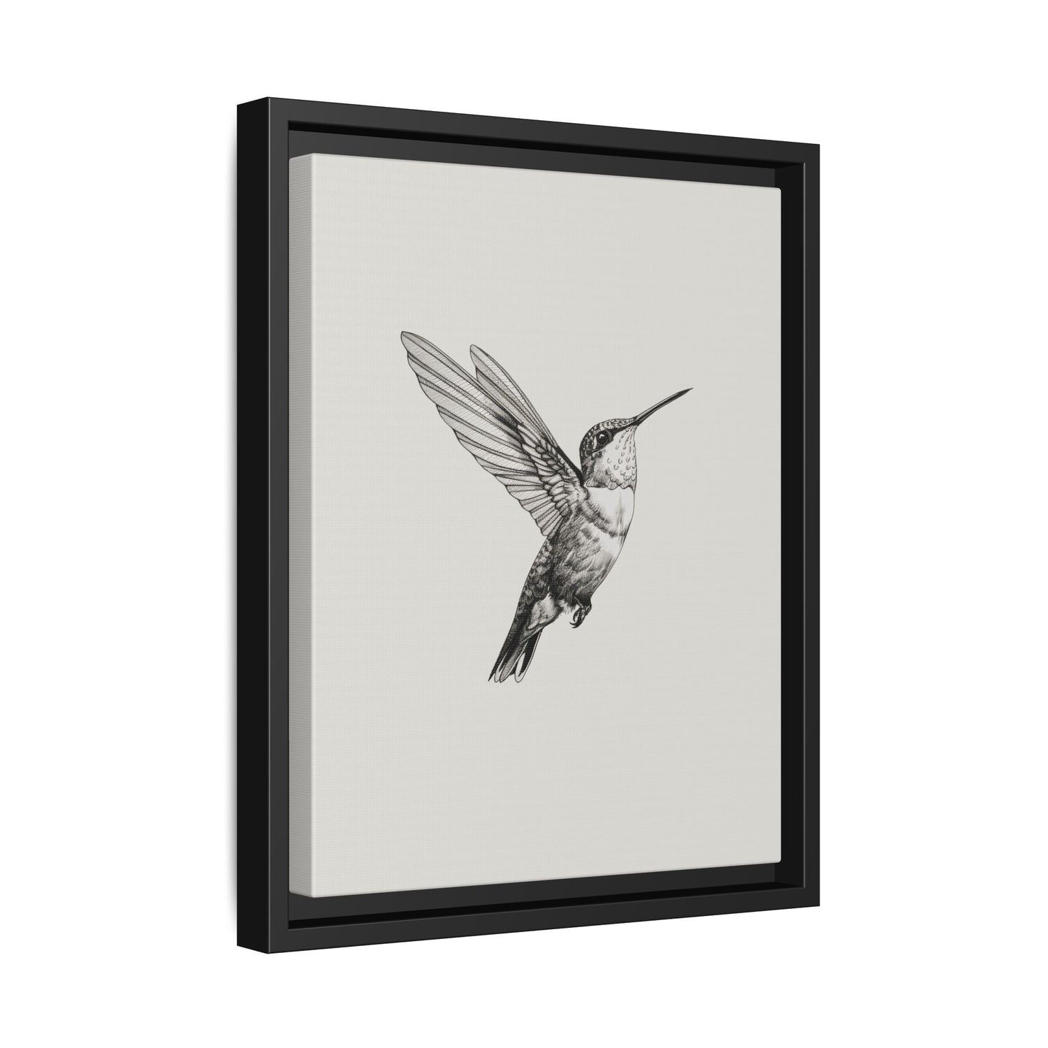 Framed Canvas - Flying Hummingbird Line Study