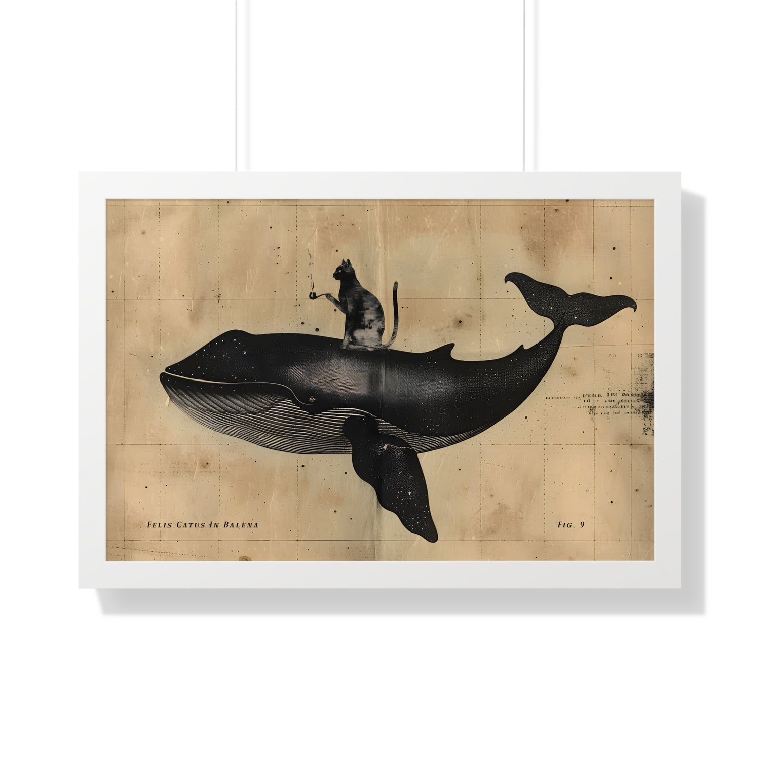 Framed Paper Print - Cat Rides Whale Theory