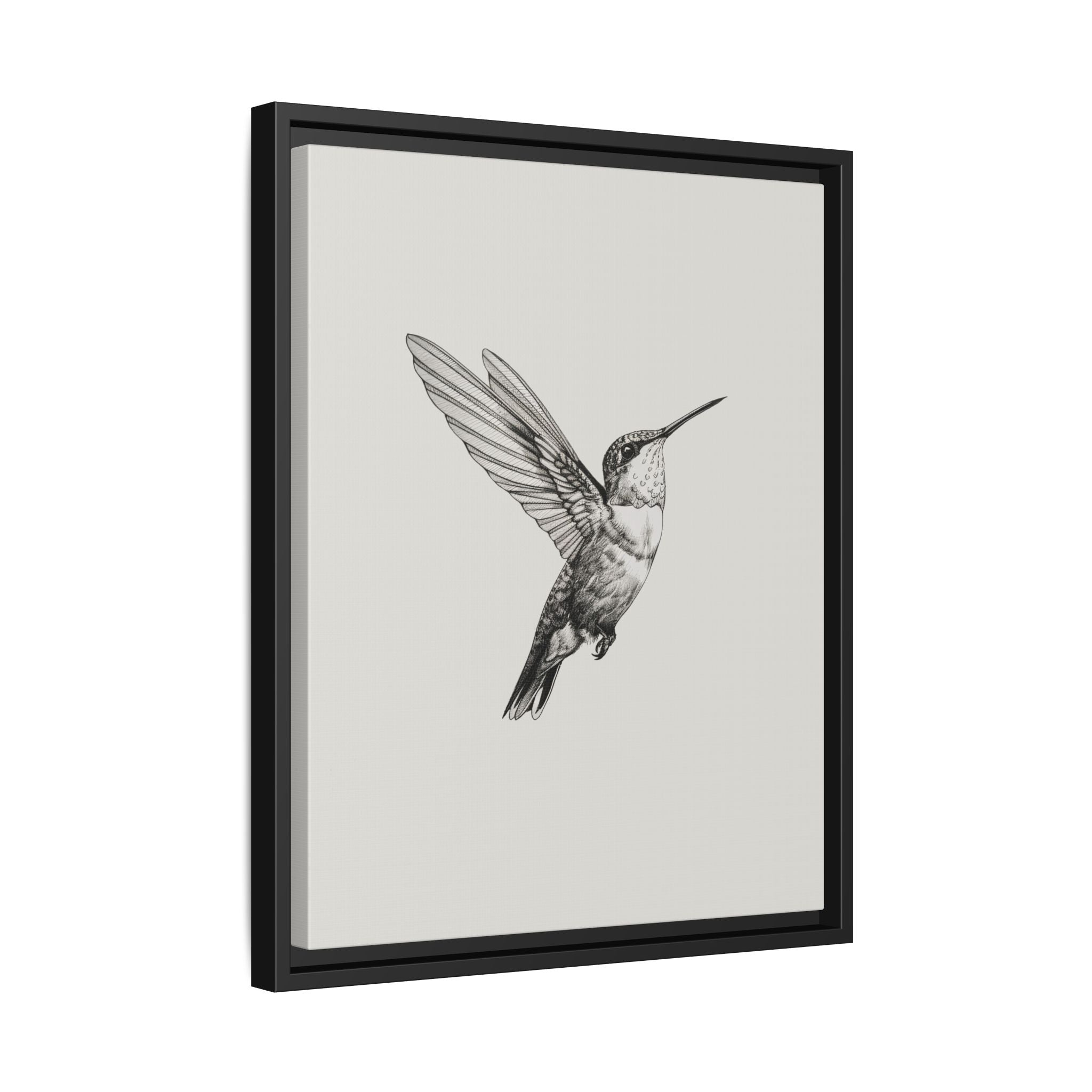 Framed Canvas - Flying Hummingbird Line Study
