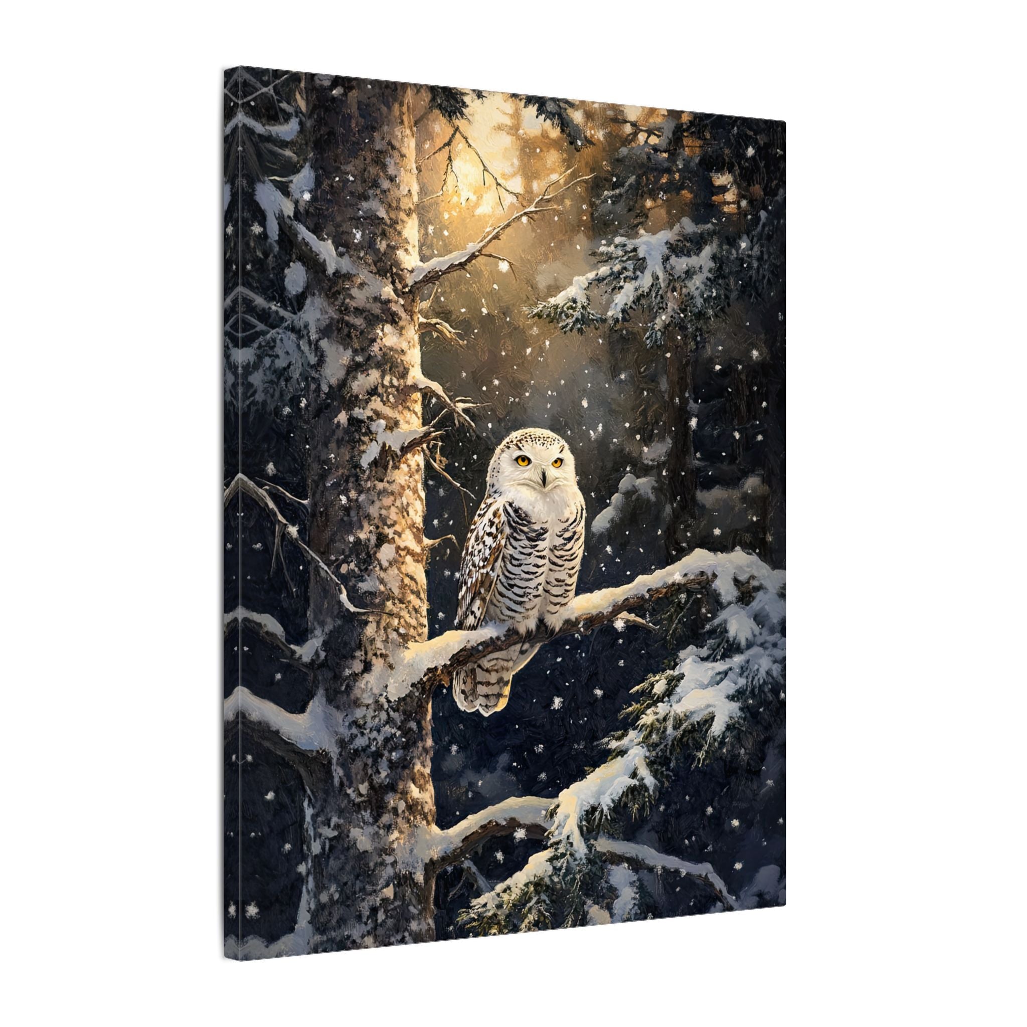 .75" Matte Canvas - Silent Gaze Snow Owl