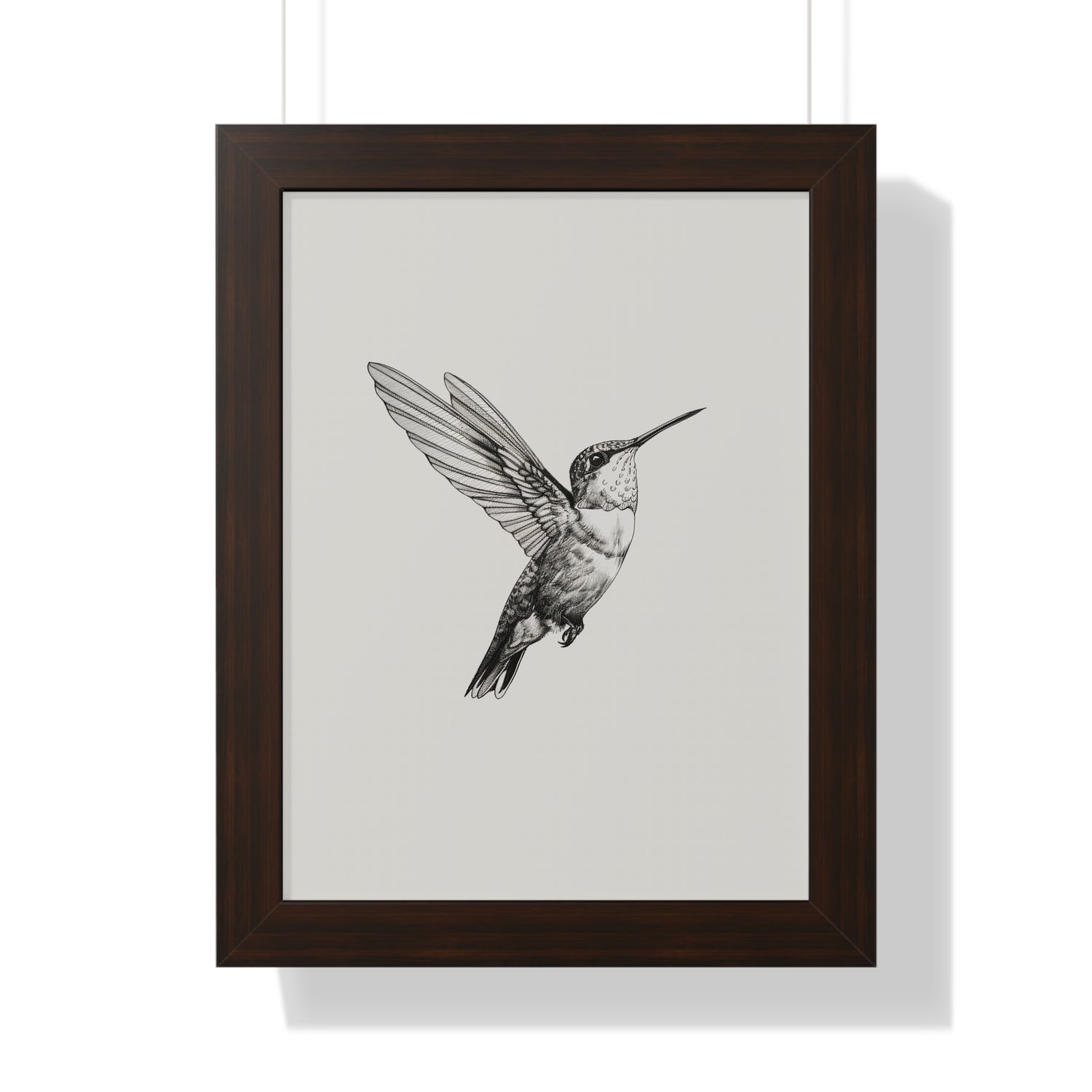 Framed Paper Print - Flying Hummingbird Line Study