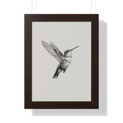 Framed Paper Print - Flying Hummingbird Line Study