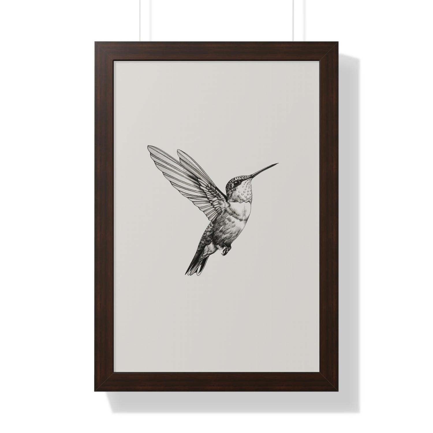 Framed Paper Print - Flying Hummingbird Line Study