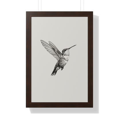 Framed Paper Print - Flying Hummingbird Line Study