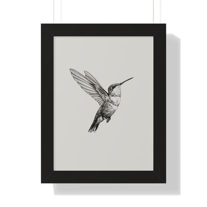 Framed Paper Print - Flying Hummingbird Line Study