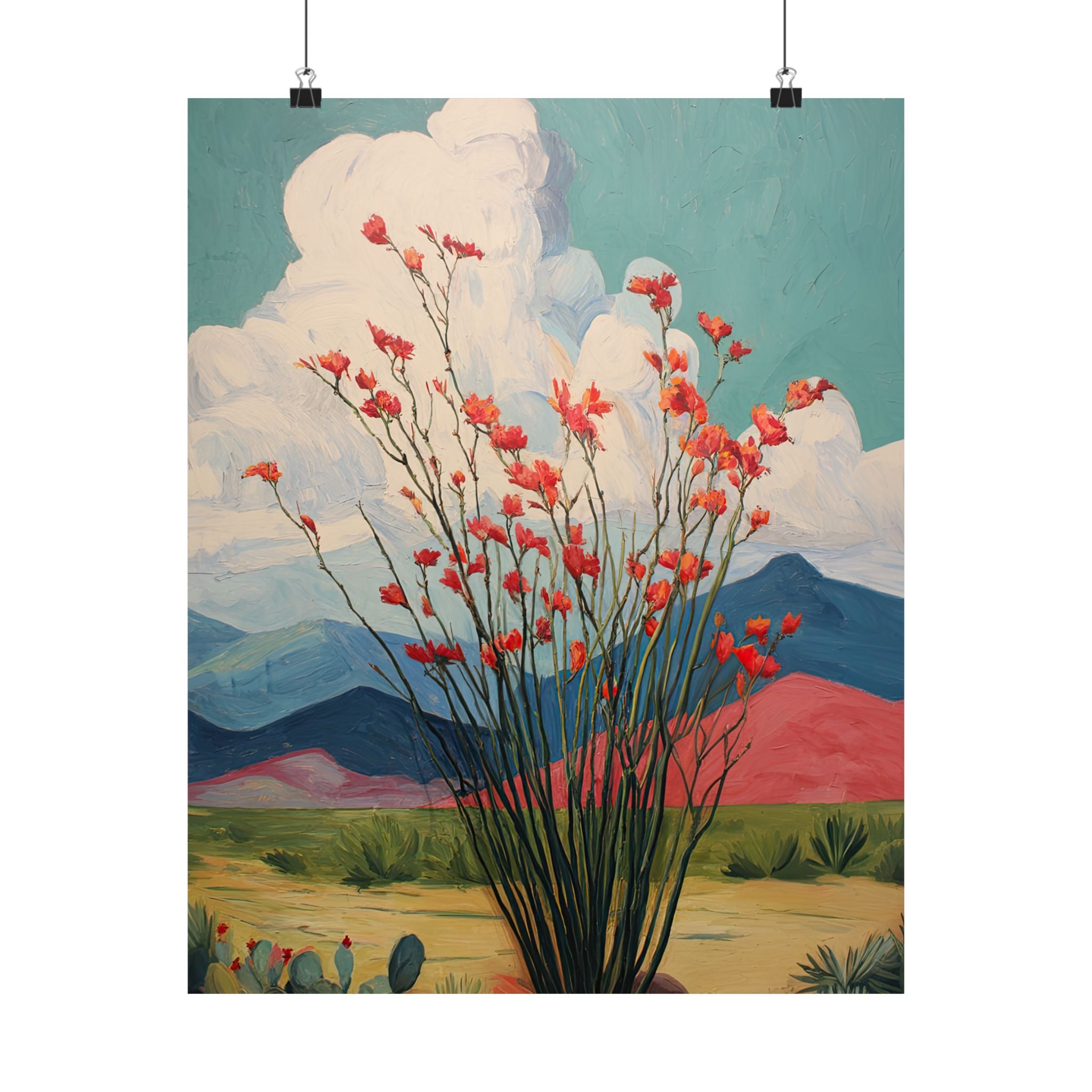 Ocotillo Cactus Desert Bloom