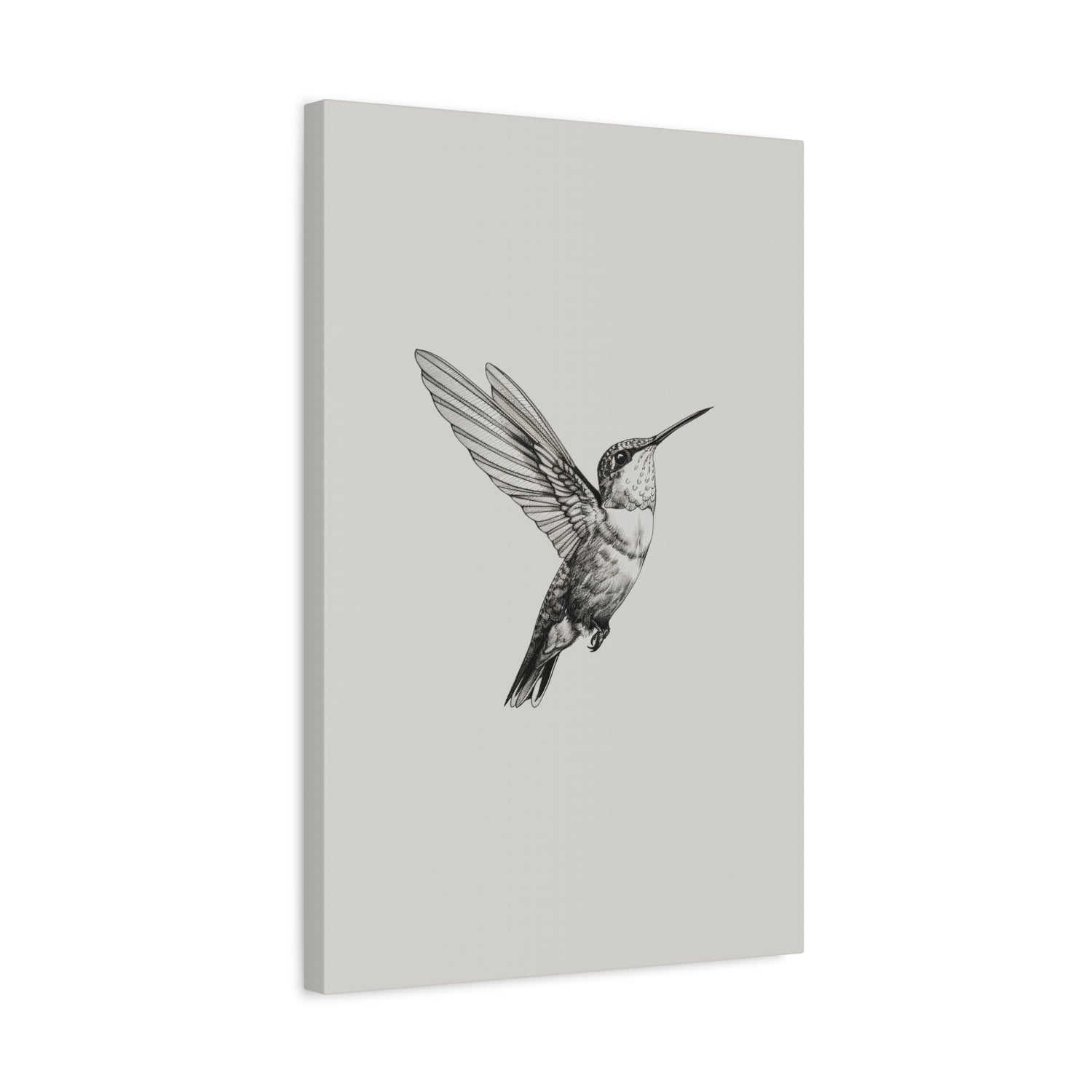 1.25" Matte Canvas - Flying Hummingbird Line Study