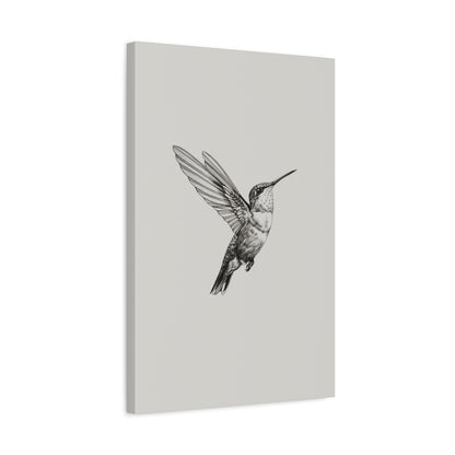 1.25" Matte Canvas - Flying Hummingbird Line Study