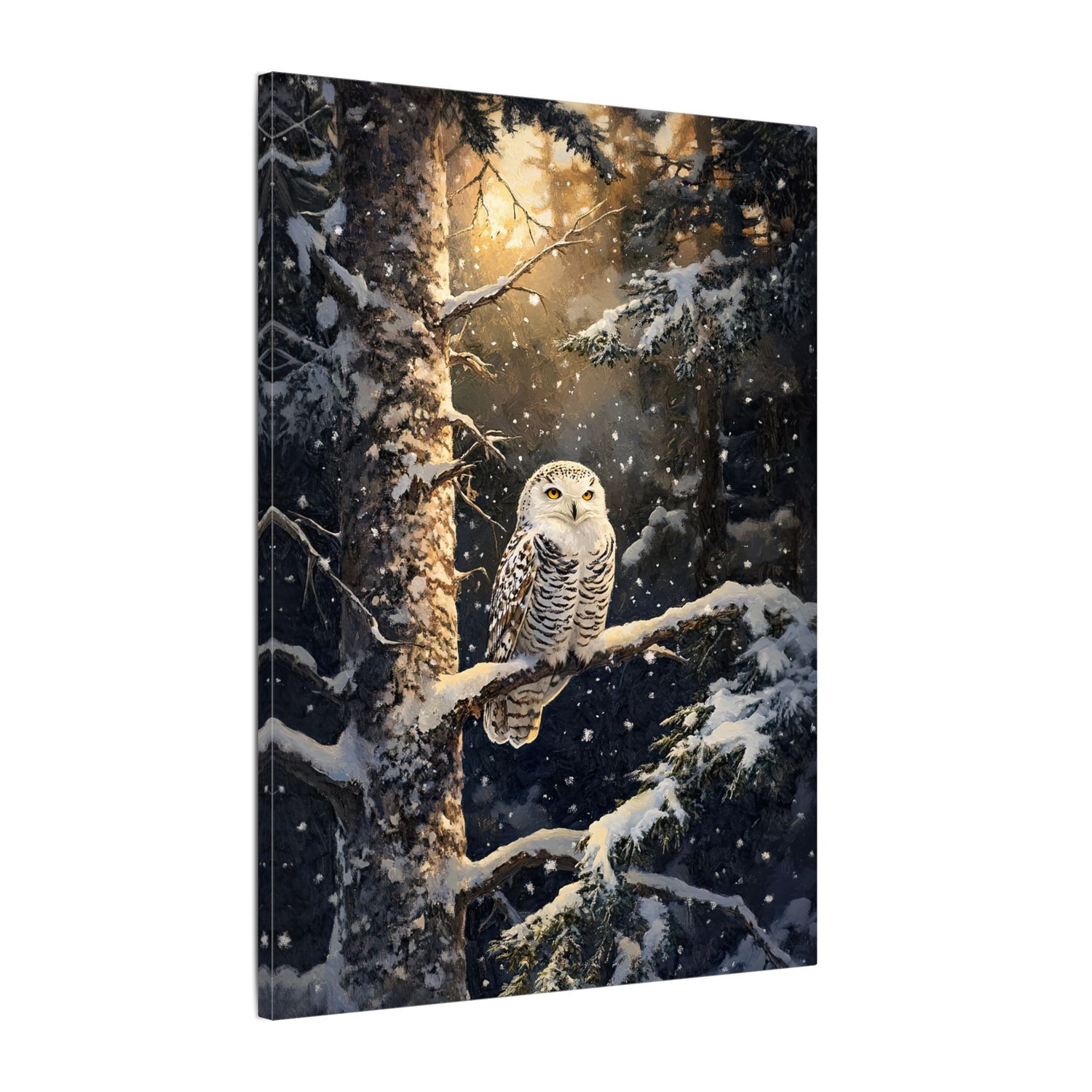 .75" Matte Canvas - Silent Gaze Snow Owl