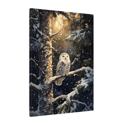 .75" Matte Canvas - Silent Gaze Snow Owl