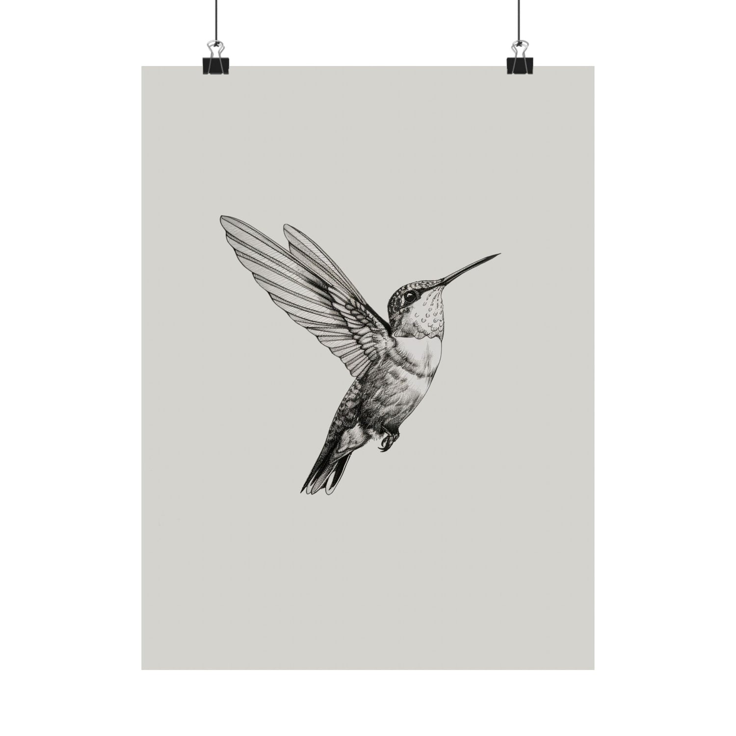 Flying Hummingbird Line Study
