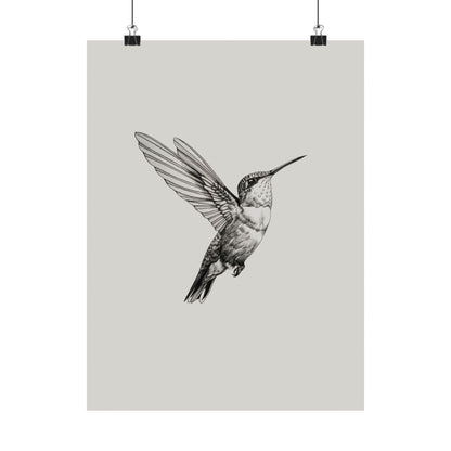 Flying Hummingbird Line Study