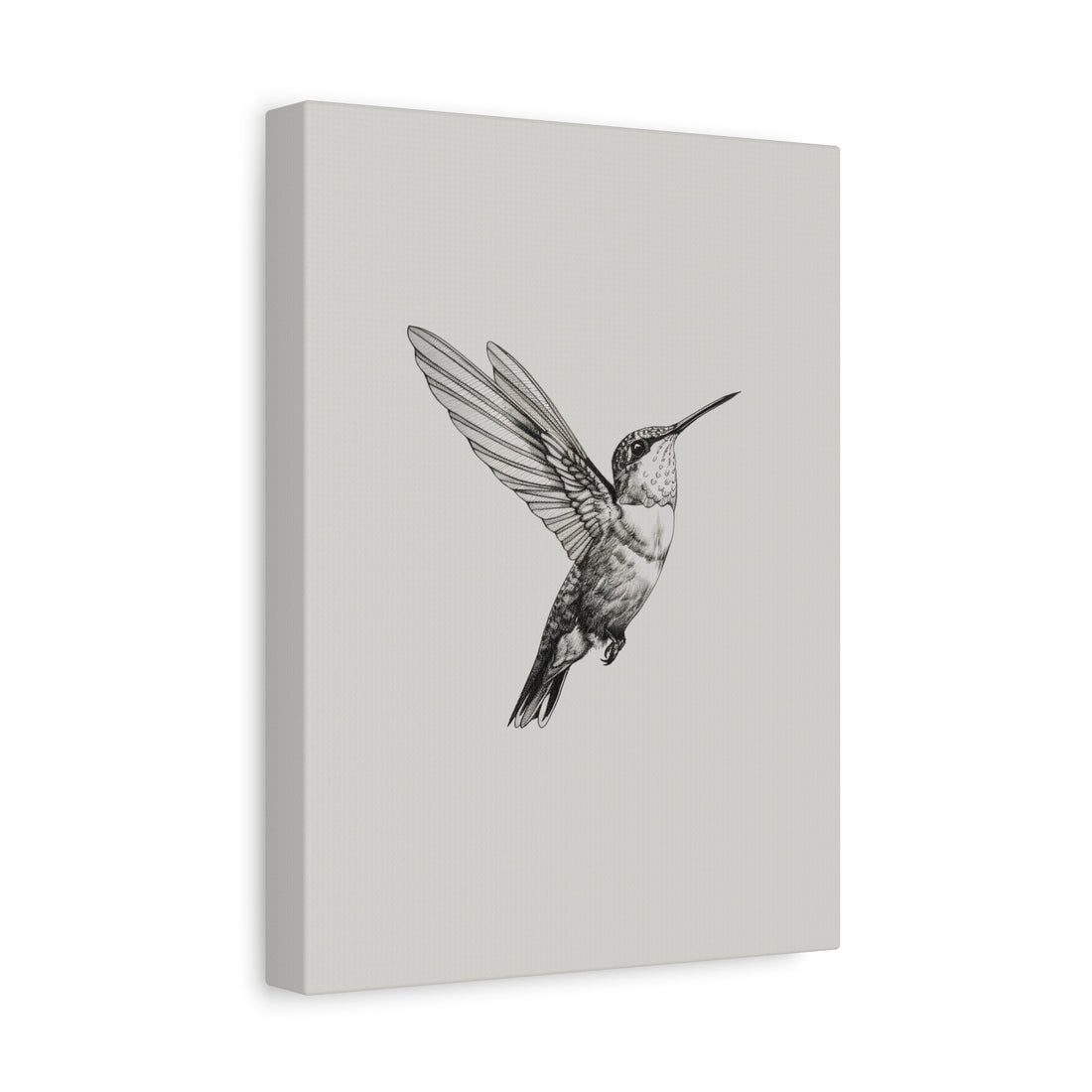 1.25" Matte Canvas - Flying Hummingbird Line Study