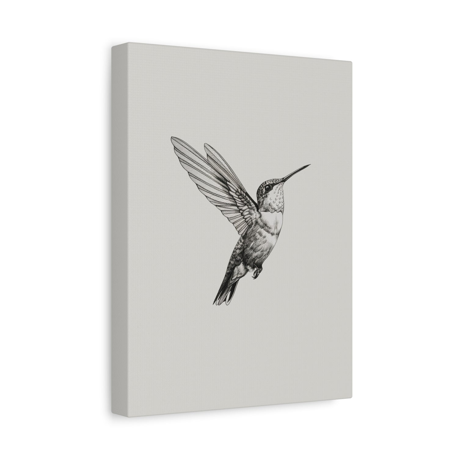 1.25" Matte Canvas - Flying Hummingbird Line Study