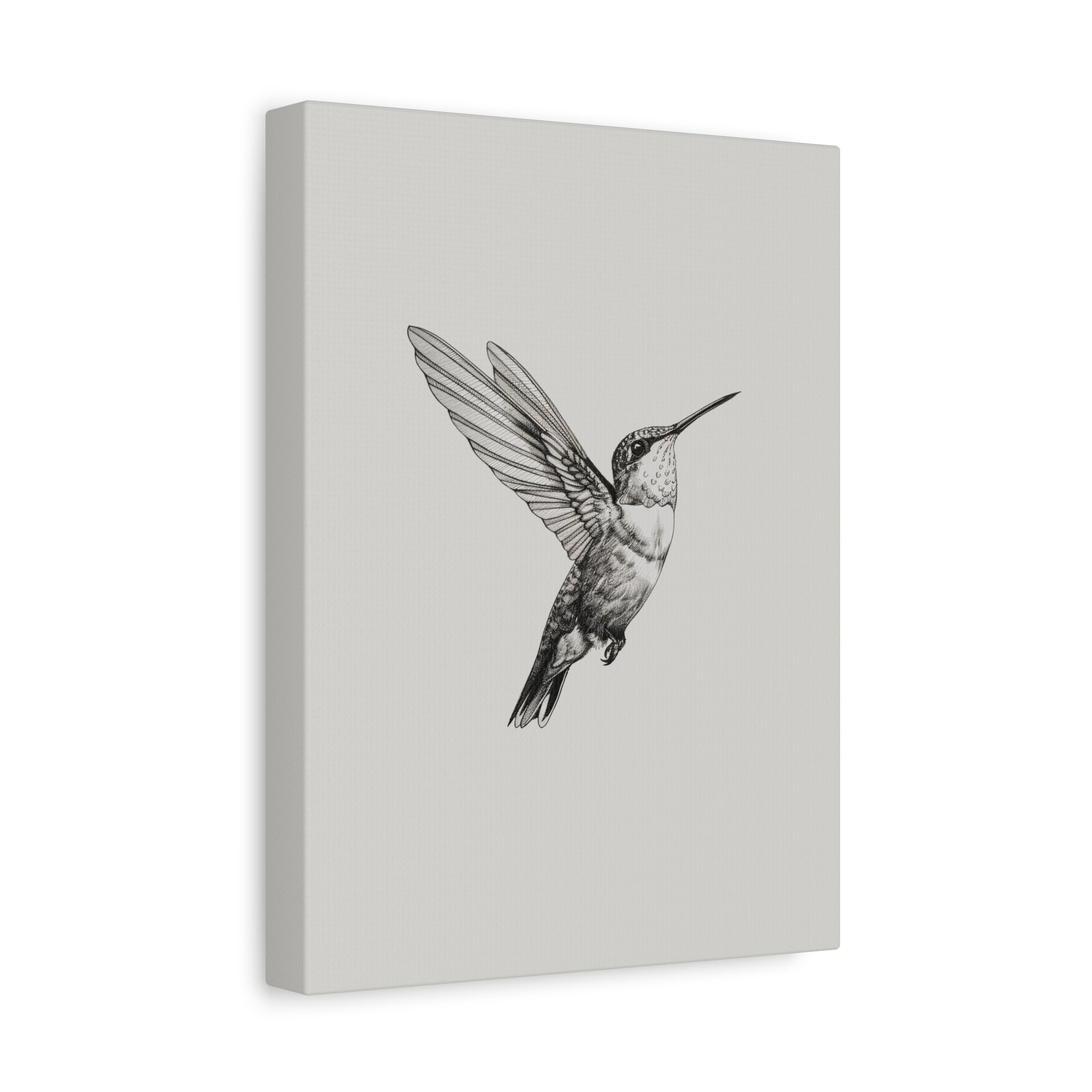 1.25" Matte Canvas - Flying Hummingbird Line Study