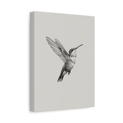 1.25" Matte Canvas - Flying Hummingbird Line Study