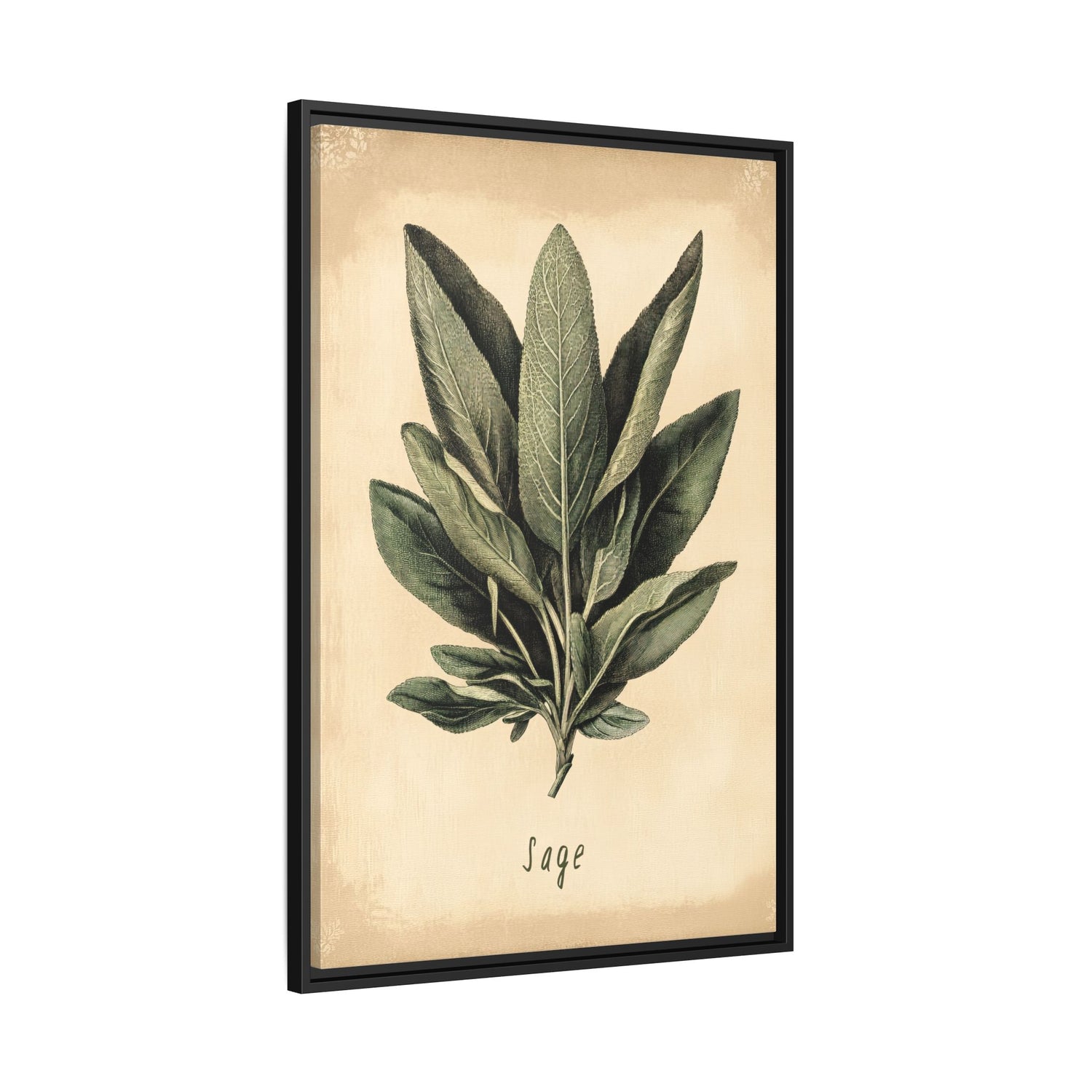 Framed Canvas - Botanical Sage Study