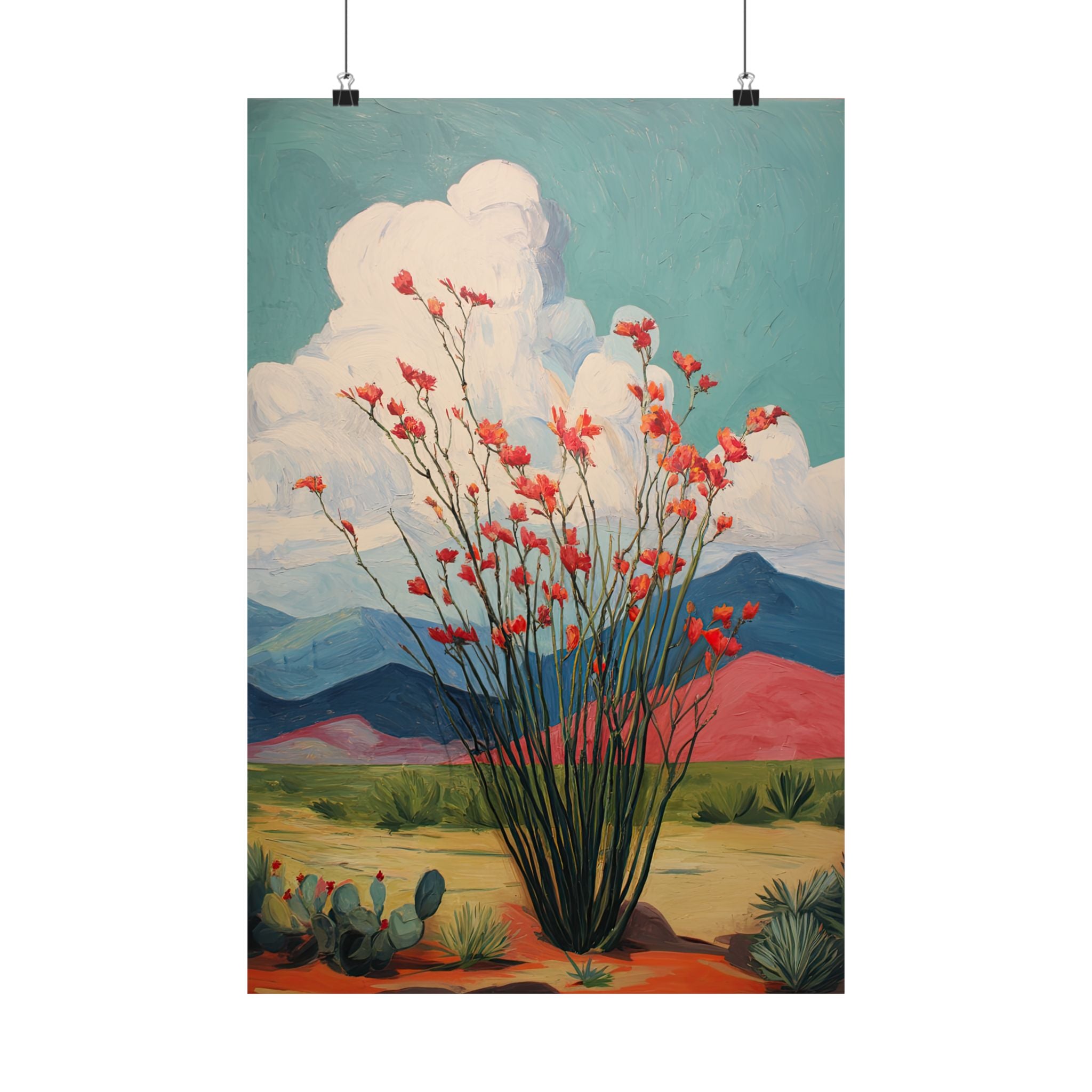 Ocotillo Cactus Desert Bloom