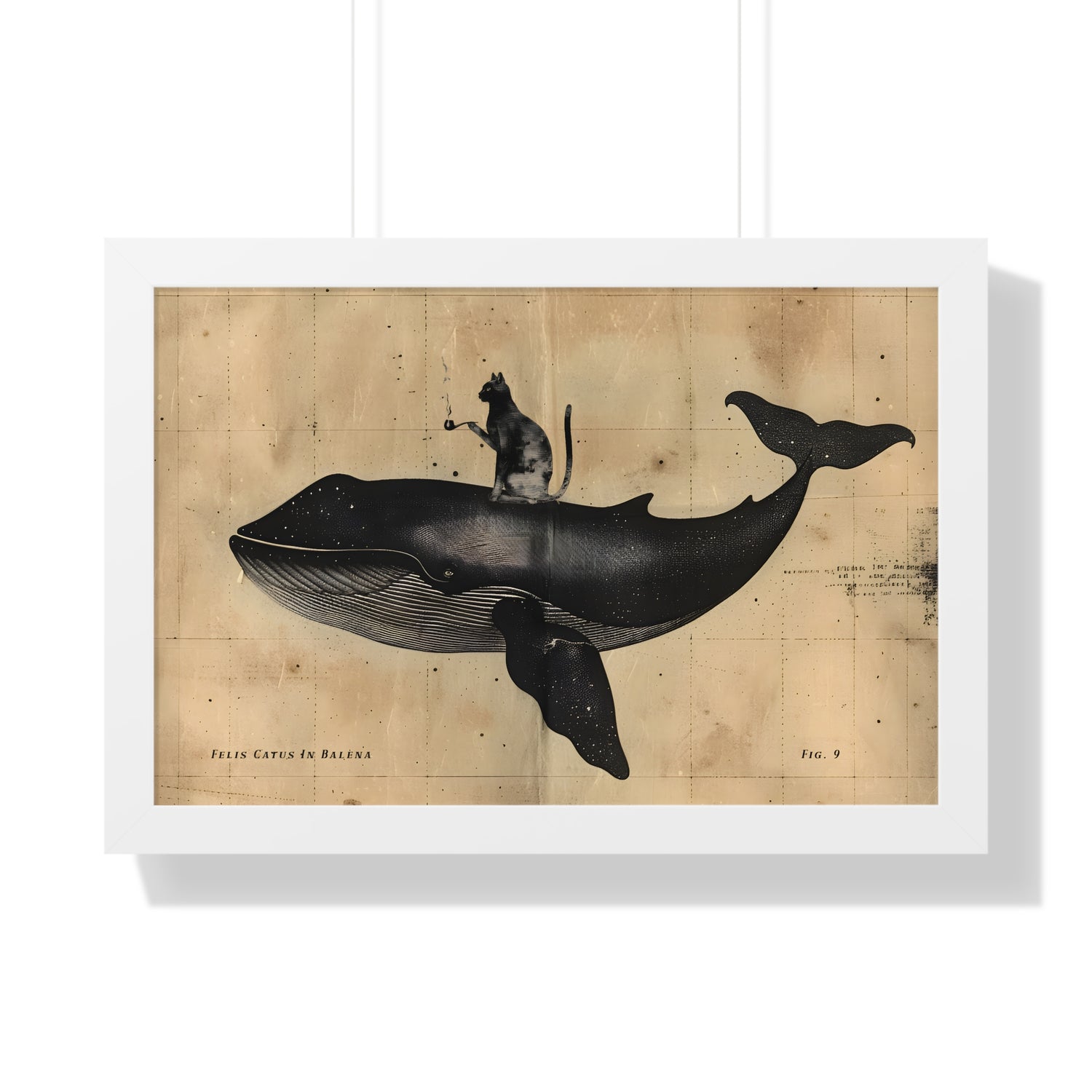 Framed Paper Print - Cat Rides Whale Theory