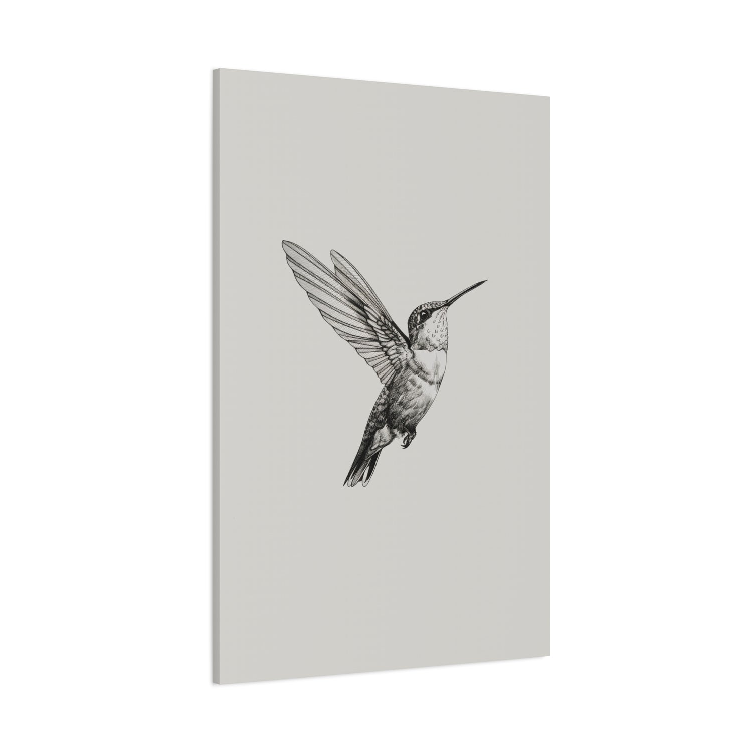 1.25" Matte Canvas - Flying Hummingbird Line Study