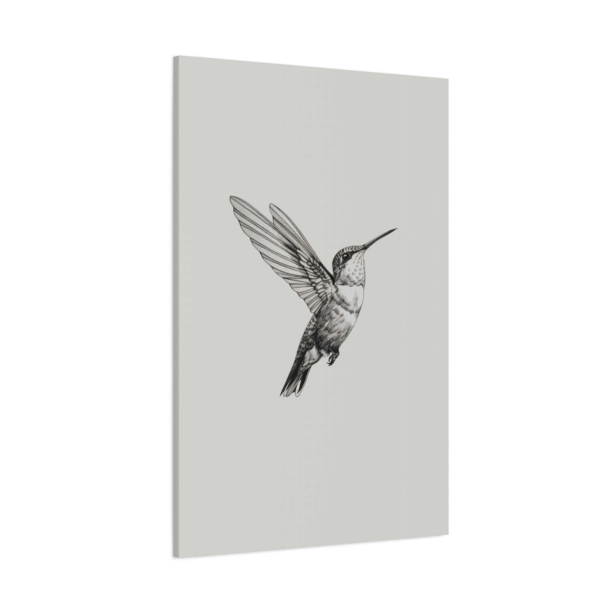 1.25" Matte Canvas - Flying Hummingbird Line Study