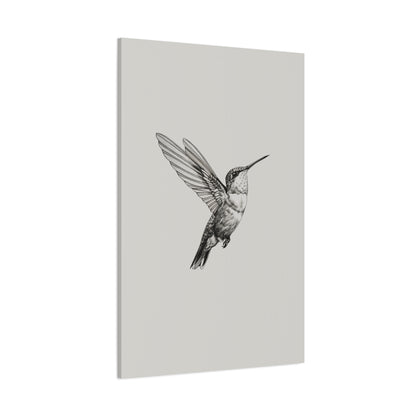 1.25" Matte Canvas - Flying Hummingbird Line Study