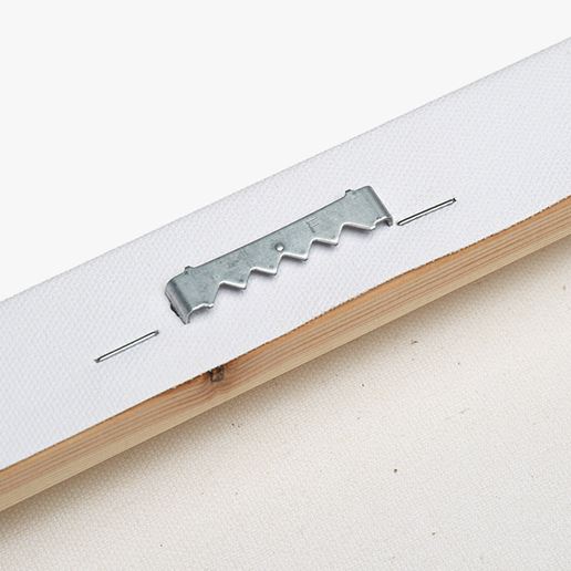 .75" Matte Canvas - Botanical Sage Study