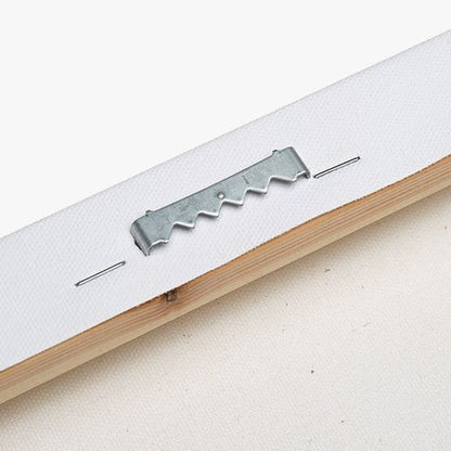 .75" Matte Canvas - Botanical Sage Study