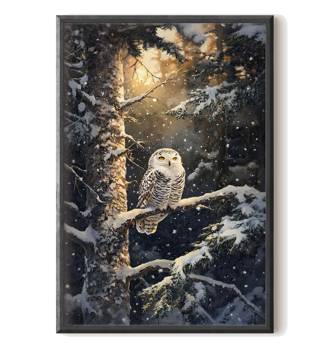 Silent Gaze Snow Owl