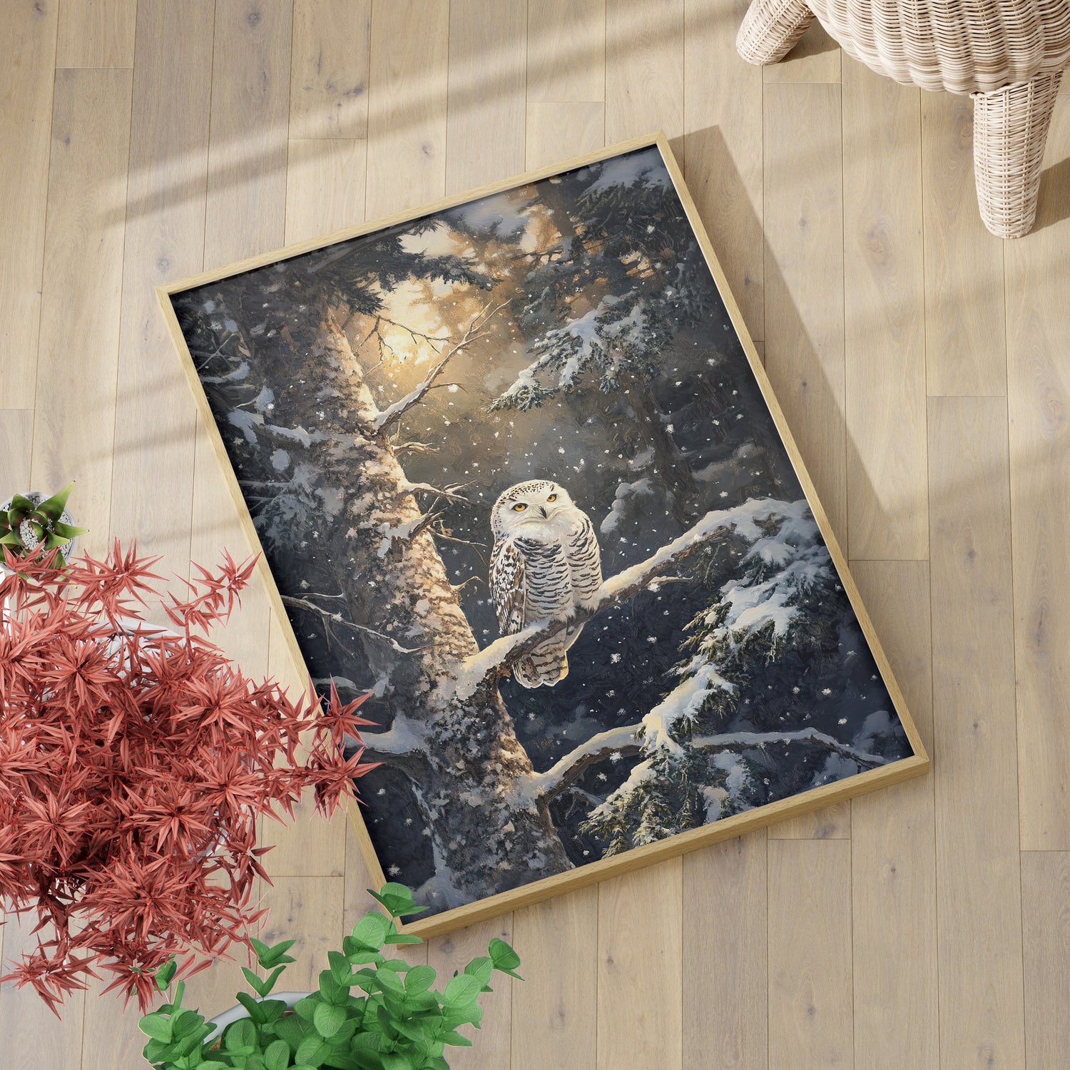 Silent Gaze Snow Owl