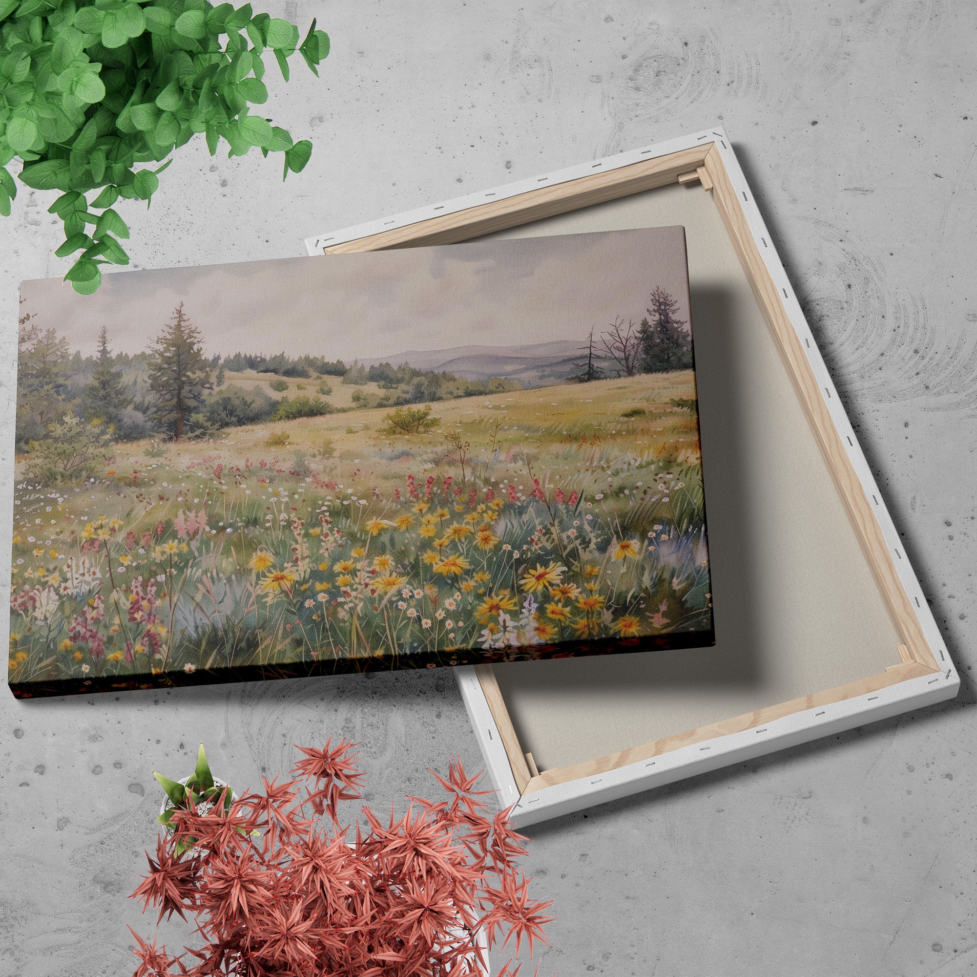 .75&quot; Matte Canvas - Meadow&